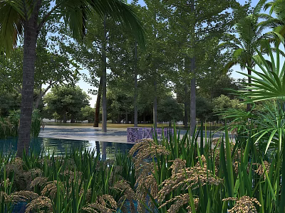 Beautiful Tropical Garden Scenery With Calm Water Tall Trees And Lush Green Aquatic Plants 3d model