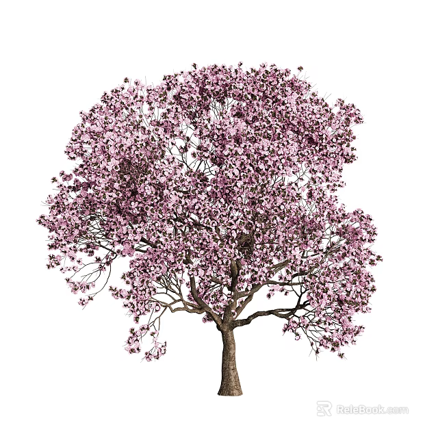 Vibrant Pink Flowering Tree With Abundant Blooming Petals And Lush Green Canopy 3d model 