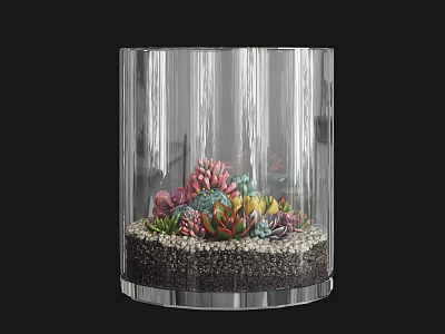 Colorful Succulent Plants Arrangement In Transparent Glass Container With Small Pebbles 3d model