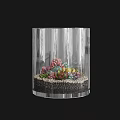 Colorful Succulent Plants Arrangement In Transparent Glass Container With Small Pebbles