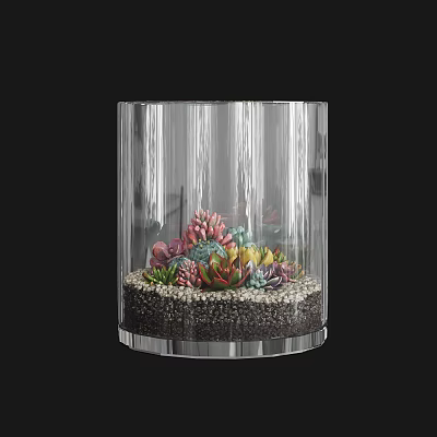 Colorful Succulent Plants Arrangement In Transparent Glass Container With Small Pebbles 3d model