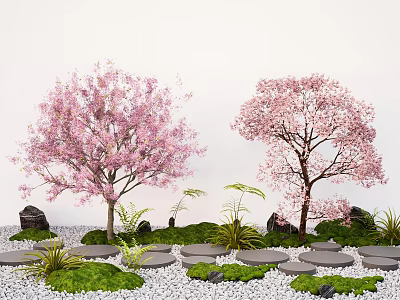 Two Trees With Pink Blossoms Surrounded By Small Stones Round Slabs And Green Plants 3d model
