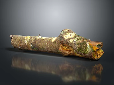 Organic Natural Wood Log Featuring Bark Moss And Textured Surface Reflection 3d model