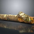 Organic Natural Wood Log Featuring Bark Moss And Textured Surface Reflection
