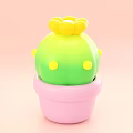 Green Cactus Bonsai Potted Plant With Yellow Flower And Pink Pot