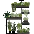 Bonsai Potted Plants On Multi Tiered Wooden And Metal Shelves With Lush Green Species