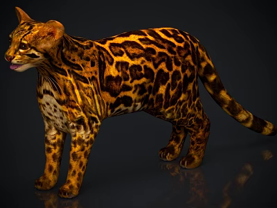 Realistic Leopard 3D Model Standing With Orange Black Spots Shiny Fur And Dark Background 3d model