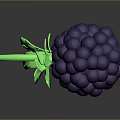 Purple Blackberry with Green Leaves and Clustered Berries on Dark Background