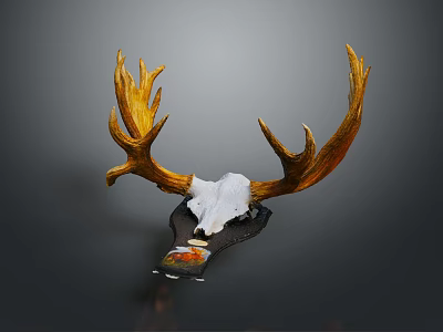 Decorative Deer Skull Mount With Golden Antlers And White Bone Display Base 3d model