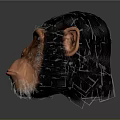 Monkey Cartoon Monkey Anime Monkey Stylized Monkey Fantasy Style Monkey Toy 3d model