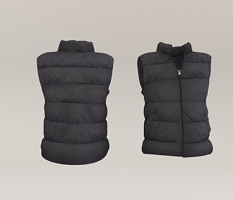 Vest Down Jacket 3d model