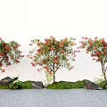 Phoenix Tree Landscape Tree Street Tree Courtyard Tree 3d model