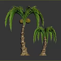 Two Palm Trees of Different Sizes with Green Leaves and Textured Trunks on Dark Ground