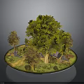 Miniature Landscape Scene With Large Green Tree Small Trees Grass Stones And Glowing Lights