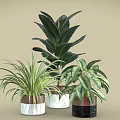 Various Indoor Green Plants in Stylish Marble and Ceramic Planters for Home Decor