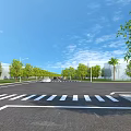 Municipal Road with Zebra Crossing Lined by Trees and Street Lamps Under Blue Sky