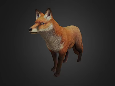 Realistic 3D Model of a Brown Fox Standing on Dark Background 3d model