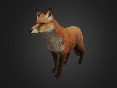 Realistic 3D Model of a Brown Fox Standing on Dark Background 3d model