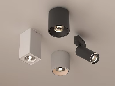 Modern Ceiling Mounted Downlights and Spotlights in Various White Black Gray Styles 3d model