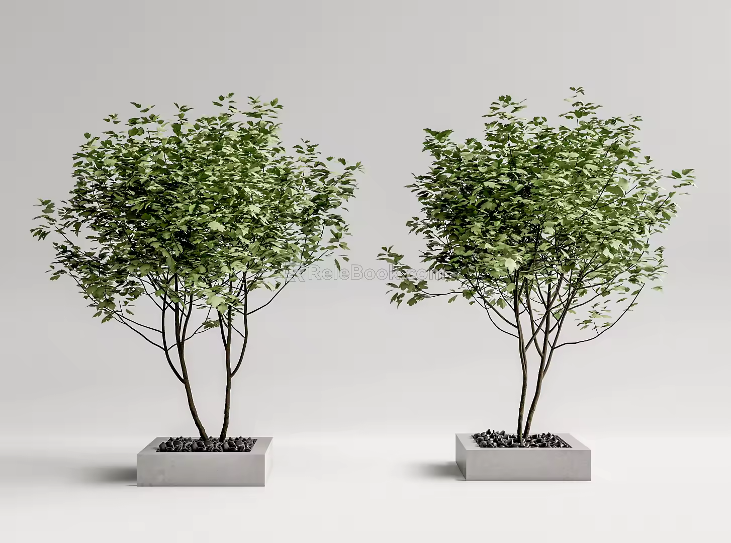 Tree Pool 3d model