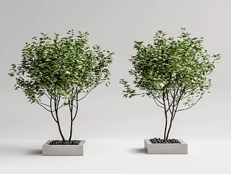 Tree Pool 3d model