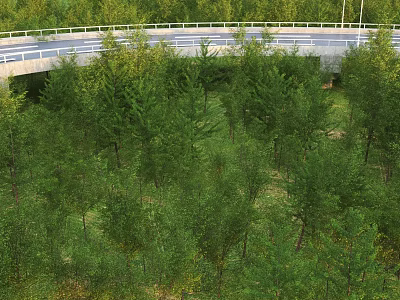 Lush Arbor Surrounded by Green Vegetation Near Road and Guardrail Natural Scene 3d model