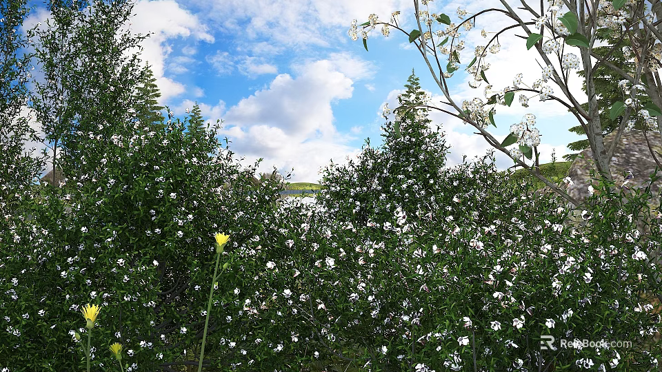 Lush Green Shrubs With White Flowers Under Blue Sky And White Clouds 3d model 