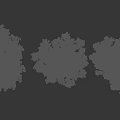 Three Lush Arbor Trees With Green Leaves And White Trunks On Black Background