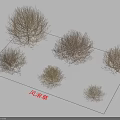 Dried Tumbleweed Plants Arrangement On Flat Surface With Natural Shadows 3d model