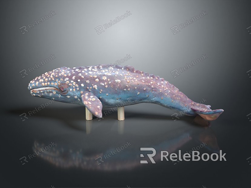 whale cartoon whale mammal marine mammal marine animal fish freshwater fish marine fish model