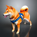 Cute Happy Shiba Inu Standing Wearing Blue Harness With Tongue Out