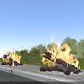 Rural Landscape With Row of Burning Flames Along Path Green Trees And Grassland