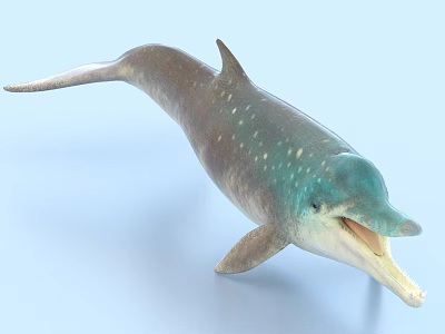 Greenish Gray Dolphin With White Spots Open Mouth On Light Blue Background 3d model