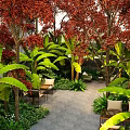 Outdoor Plant Combination With Red Leaf Trees Large Green Foliage Seating Area And Stone Pathway