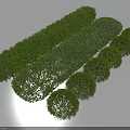 Green Well Trimmed Shrubs Round and Rectangular Shapes For Garden Landscaping Design