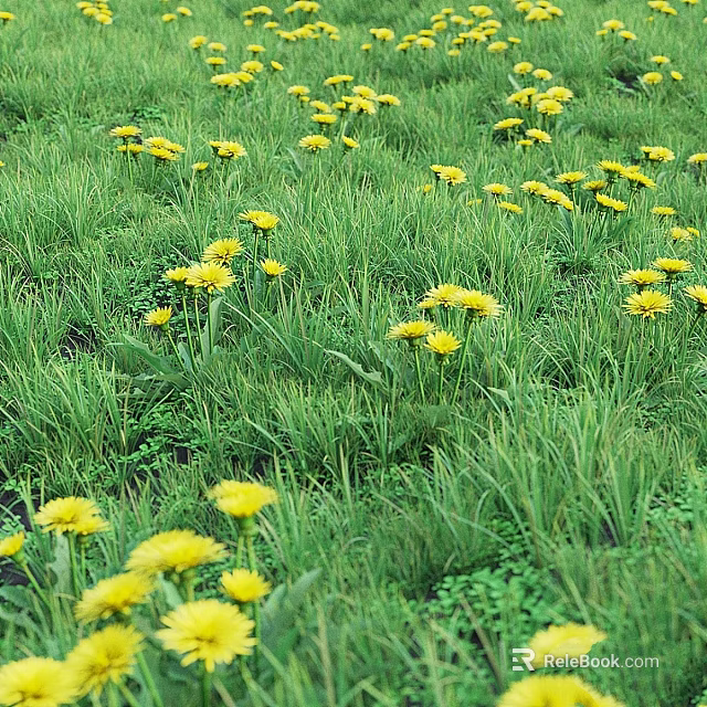 Decorative Ornament Set with Green Grass and Yellow Dandelion Flowers 3d model 