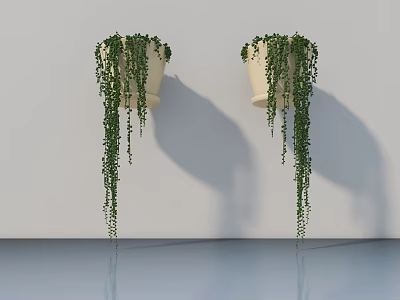Wall Mounted Hanging Potted Plants With Light Colored Pots And Trailing Vines On White Wall 3d model