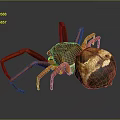 Red Spider With Long Legs Near Brown And White Round Object On Dark Surface