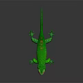 Green Lizard With Red Eyes And Colorful Spots On Its Body