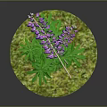 Decorative Plant With Green Leaves And Purple Flowers On Round Grassy Pedestal
