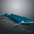 Realistic Blue Whale 3D Model with White Underbelly on Gray Background 3d model
