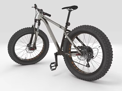 Old Bicycle Modern Bicycle 3d model