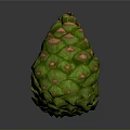 Green Pine Cone Plant Organ with Red Spots and Hair Like Scales on Gray Background