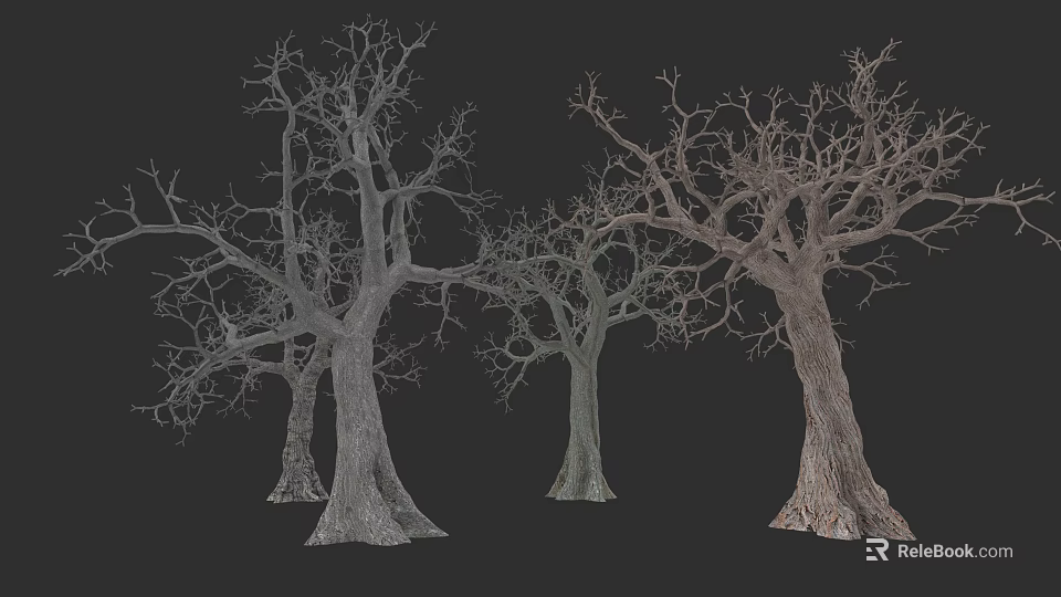 Tall Leafless Deciduous Trees With Thick Trunks And Branches On Dark Background 3d model 