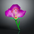 Blooming Vibrant Purple Flower with Pink Stamens Green Stem and Fresh Leaves
