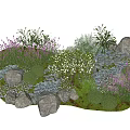 Lush Garden Shrubs with Purple Flowers White Blooms Rocks and Green Moss