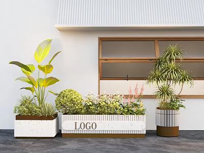 Indoor Landscape Design With Various Green Plants And Decorative Planters By Wooden Window 3d model