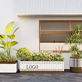 Indoor Landscape Design With Various Green Plants And Decorative Planters By Wooden Window