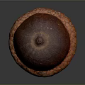 Detailed Acorn With Brown Top And Orange Textured Base On Dark Background