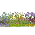 Colorful Garden Flowers And Plants With Various Species And Vibrant Blooms